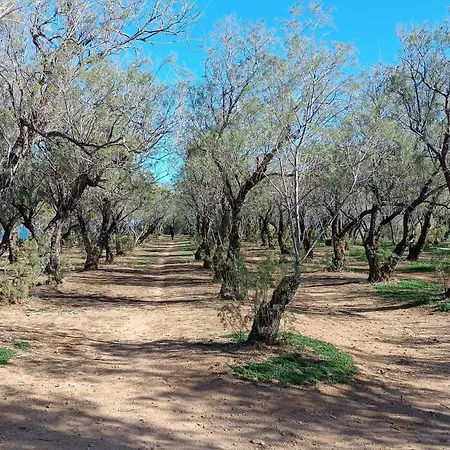 Villa Ammos Daratsos